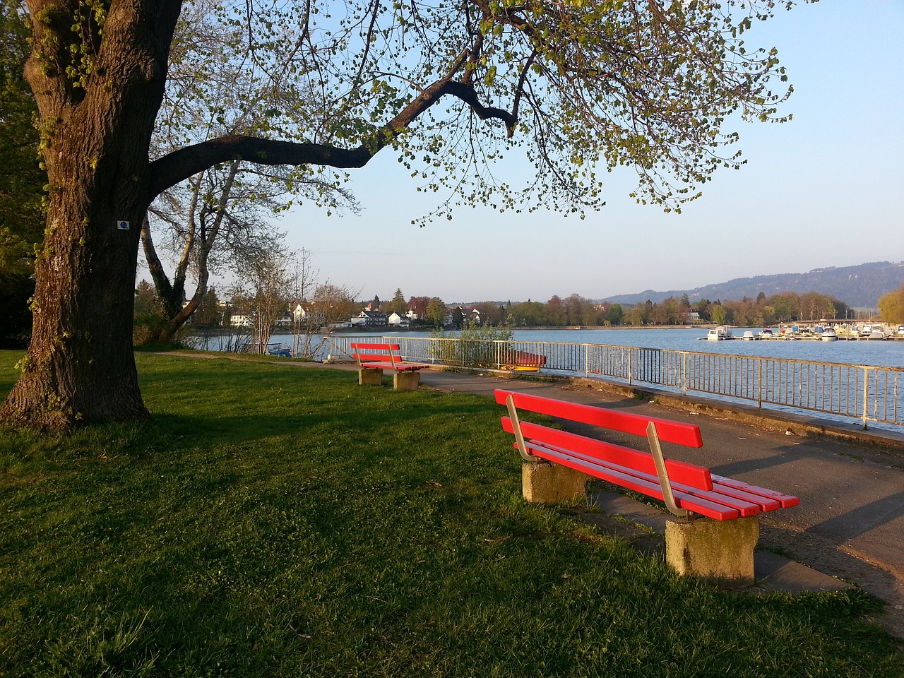 究其原因 究其原因