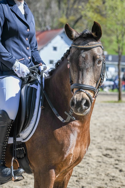 细算的尤文 细算的尤文