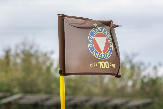 最新的科技 最新的科技