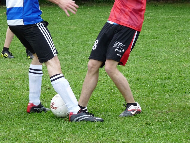 的进步与信 的进步与信